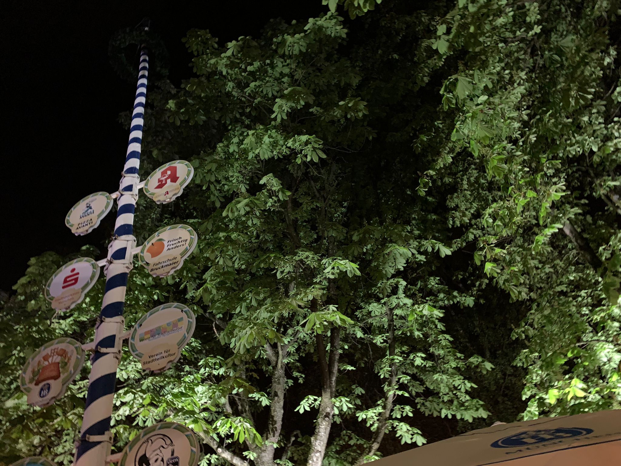 Bäume und im Vordergrund Maibaum mit verschiedenen Schildern dran